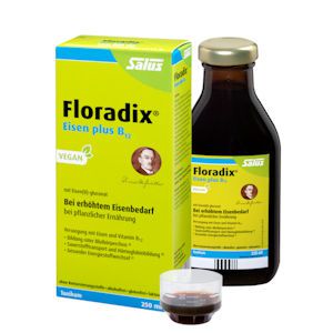 FLORADIX Eisen plus B12 vegan Tonikum